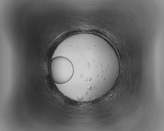 X0000116381205200912020939