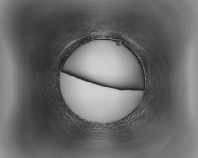 X0000116381206200912020939