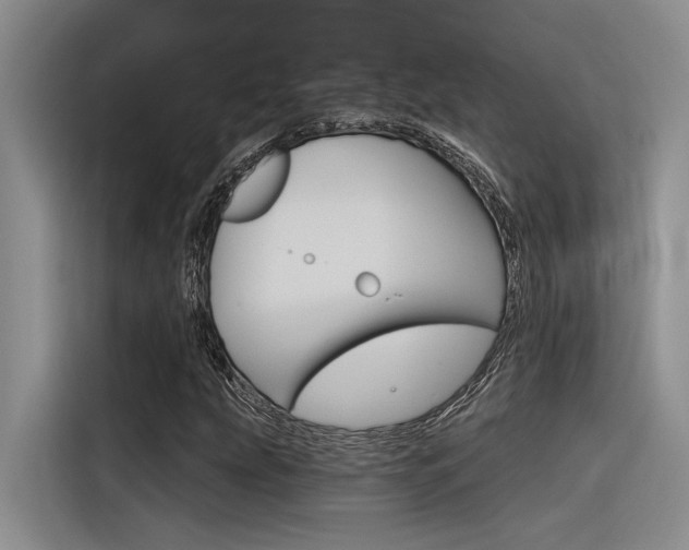 X0000116381207200912020939