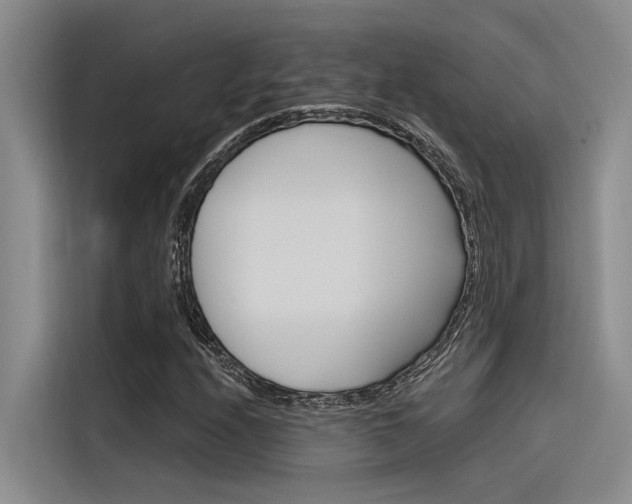 X0000116381208200912020939