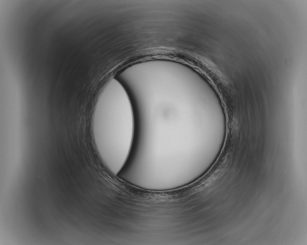 X0000116381209200912020939