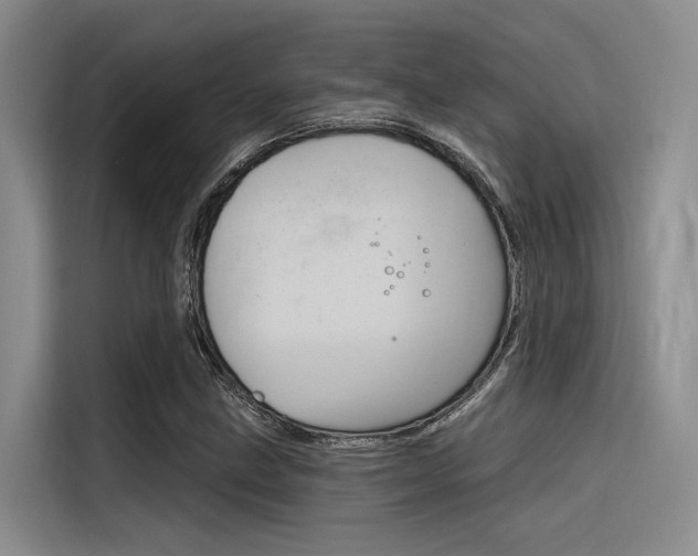 X0000116381211200912020939