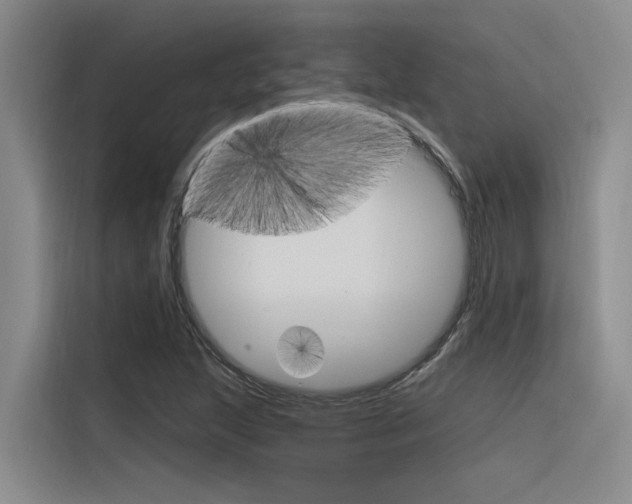 X0000116381215200912020939