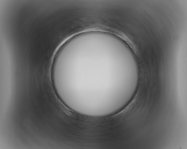 X0000116381216200912020939