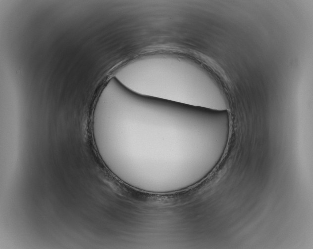X0000116381217200912020939