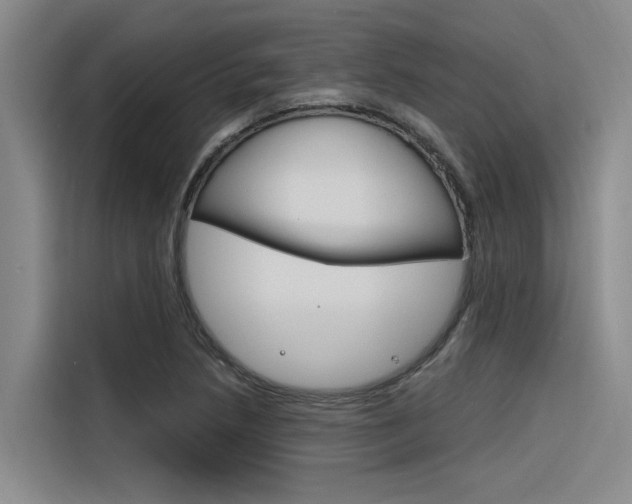 X0000116381218200912020939