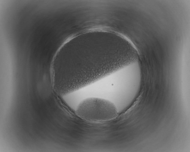 X0000116381219200912020939