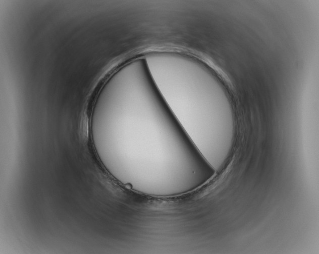 X0000116381221200912020939