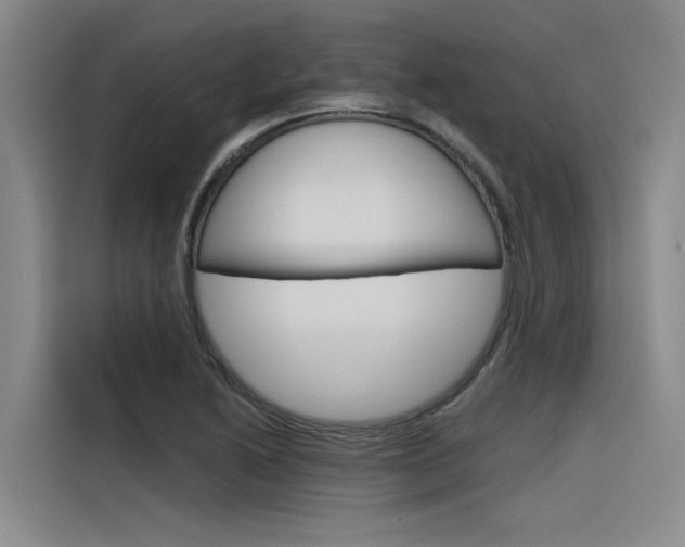 X0000116381222200912020939