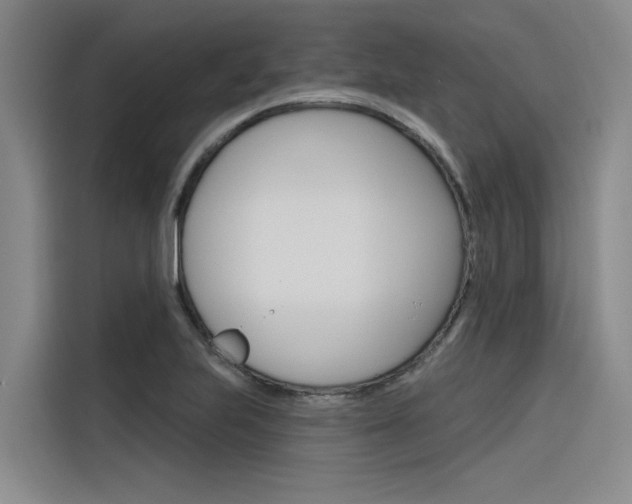 X0000116381223200912020939