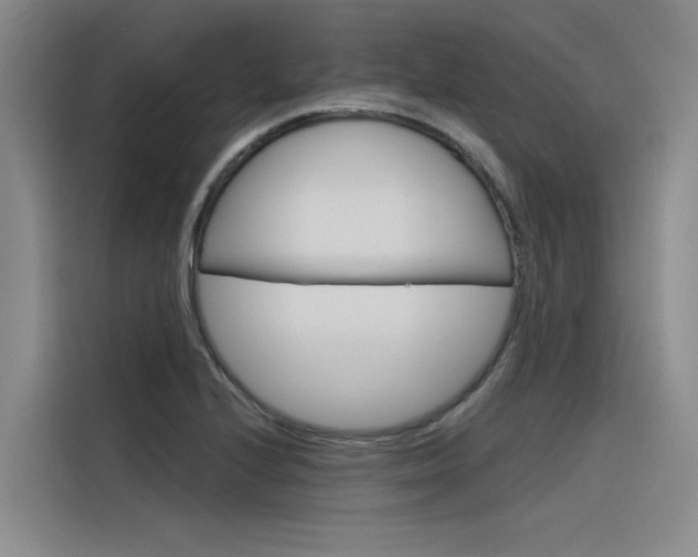 X0000116381224200912020939