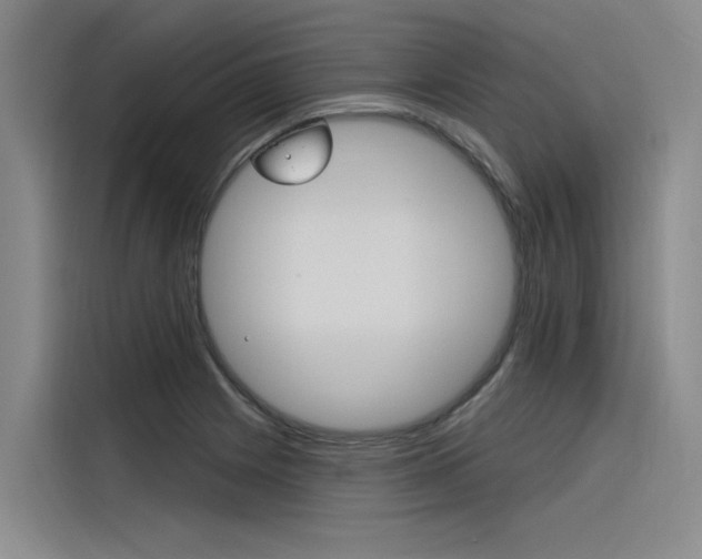 X0000116381225200912020939