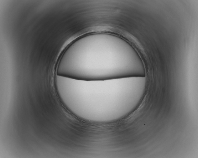 X0000116381226200912020939