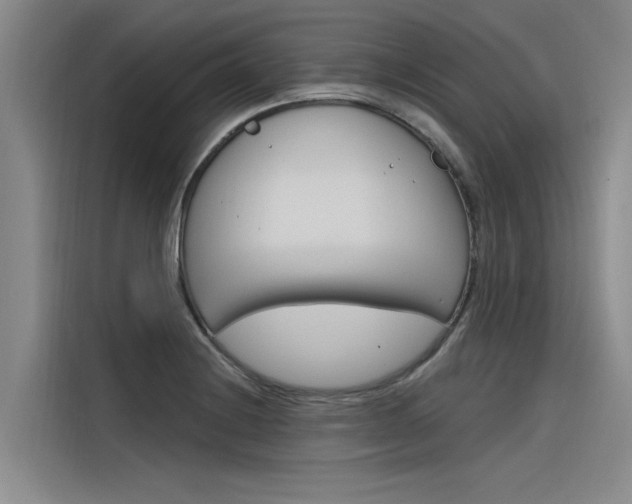 X0000116381228200912020939