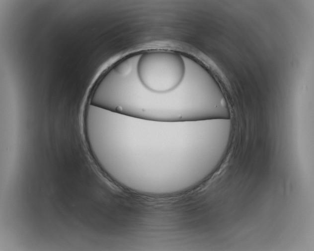 X0000116381230200912020939