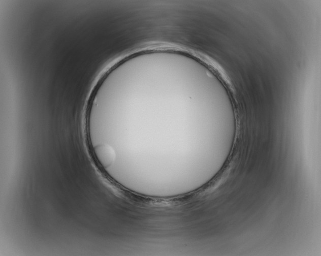 X0000116381231200912020939