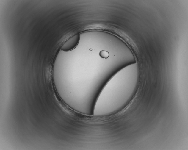 X0000116381233200912020939
