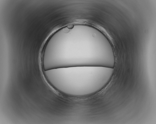 X0000116381235200912020939