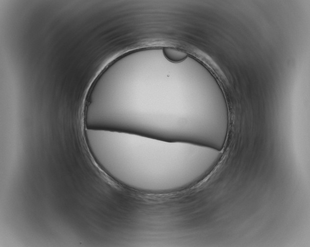 X0000116381236200912020939
