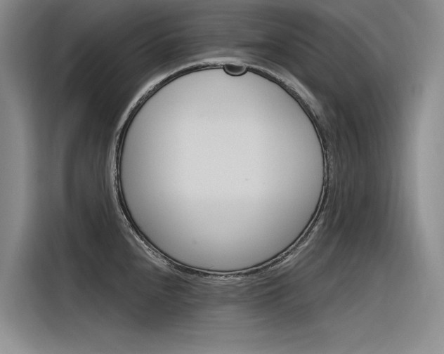 X0000116381240200912020939