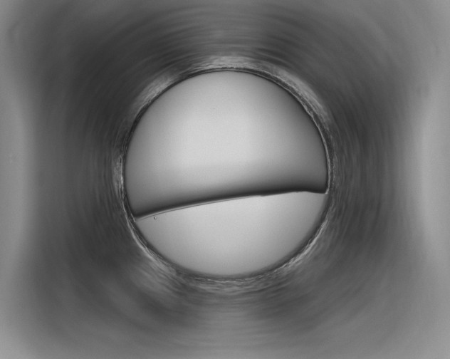X0000116381241200912020939