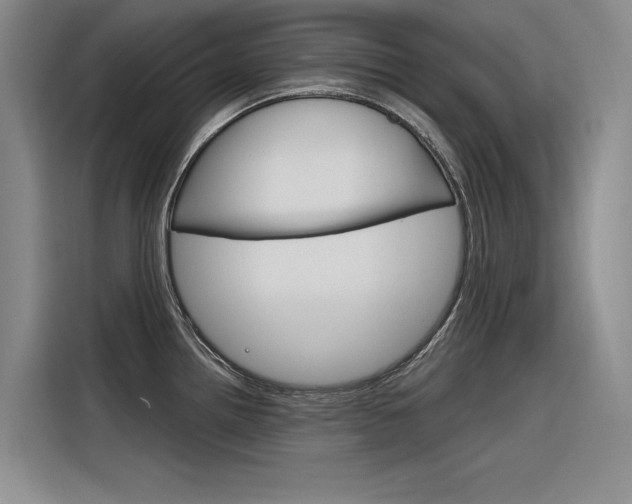 X0000116381242200912020939