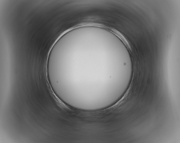 X0000116381244200912020939