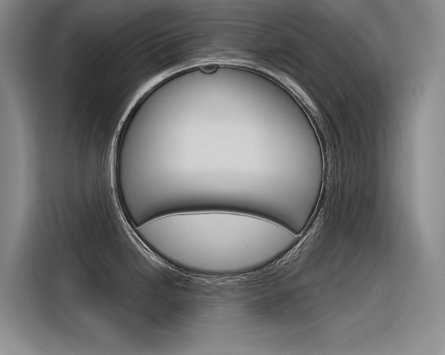 X0000116381246200912020939