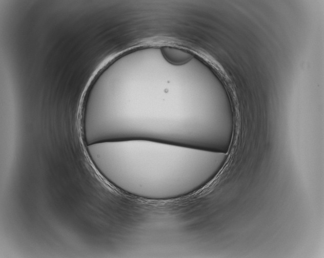 X0000116381248200912020939