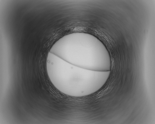 X0000116381250200912020939