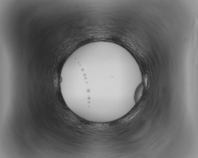 X0000116381251200912020939