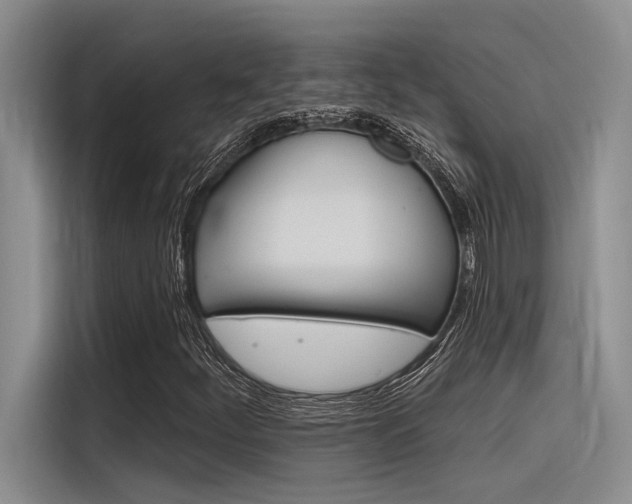 X0000116381252200912020939