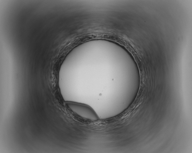 X0000116381253200912020939