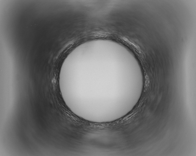 X0000116381254200912020939