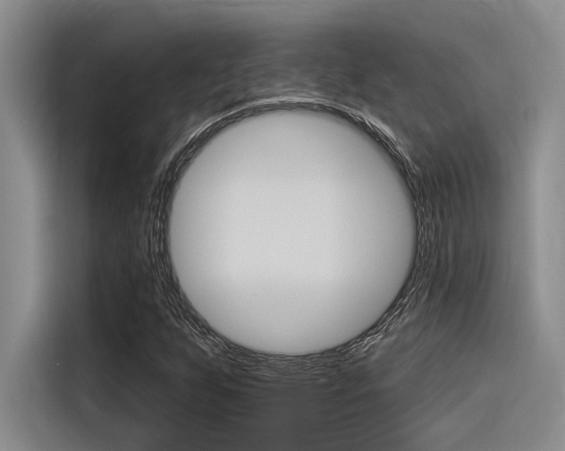 X0000116381255200912020939
