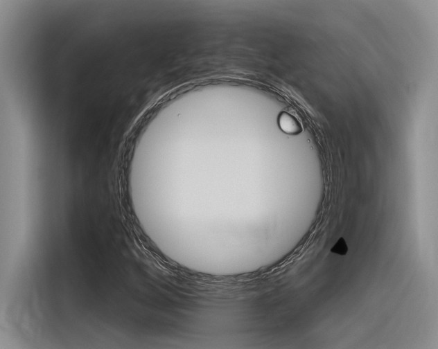 X0000116381256200912020939