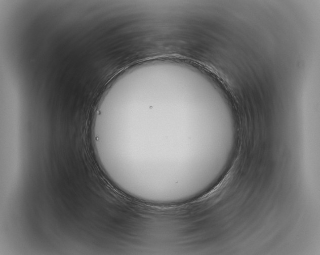 X0000116381257200912020939