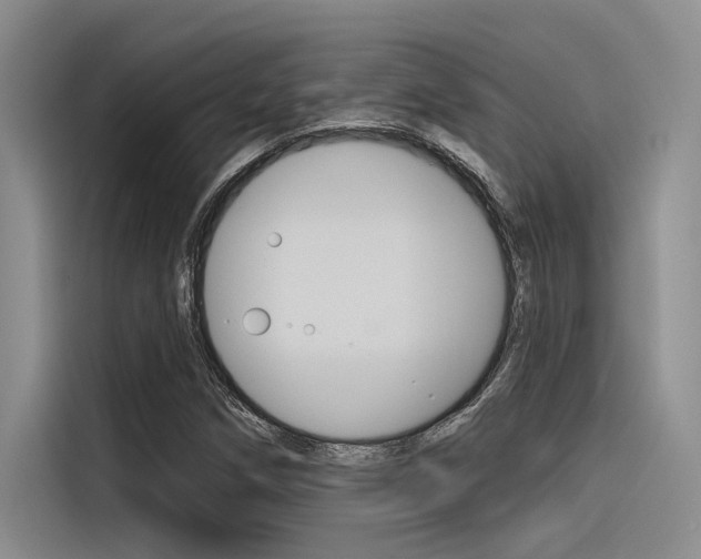 X0000116381258200912020939