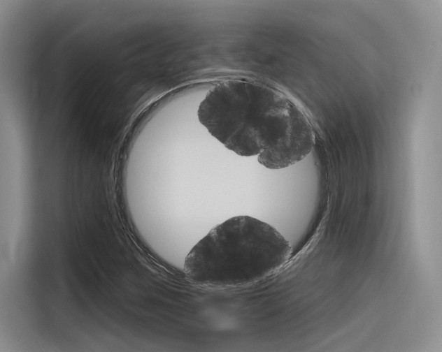X0000116381259200912020939
