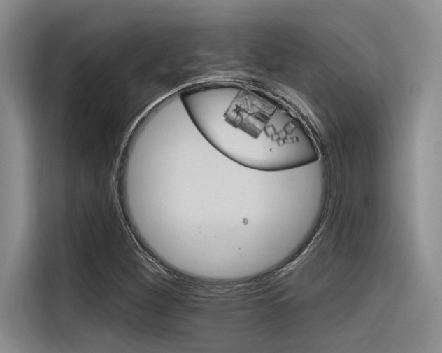 X0000116381260200912020939