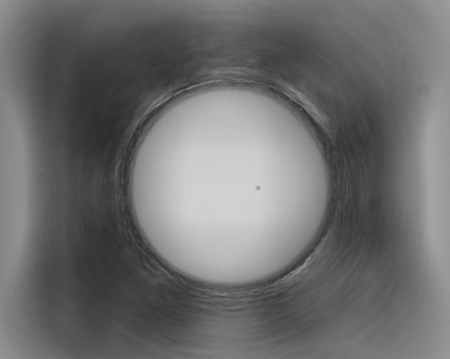 X0000116381261200912020939