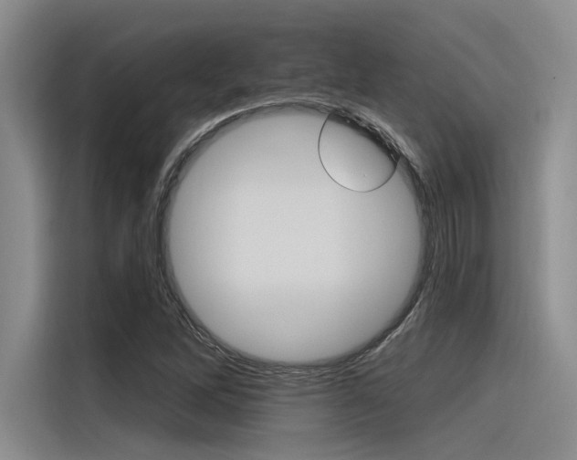 X0000116381262200912020939