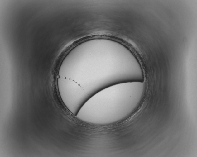 X0000116381263200912020939