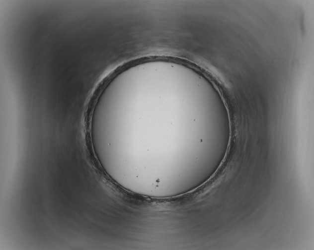 X0000116381264200912020939
