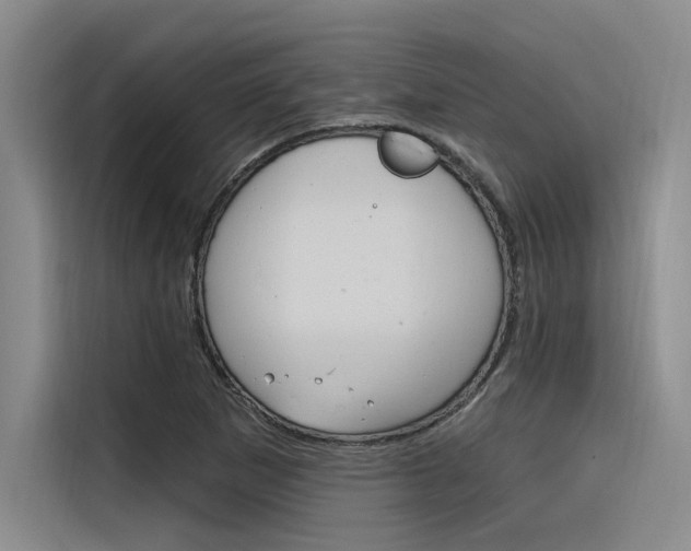 X0000116381265200912020939
