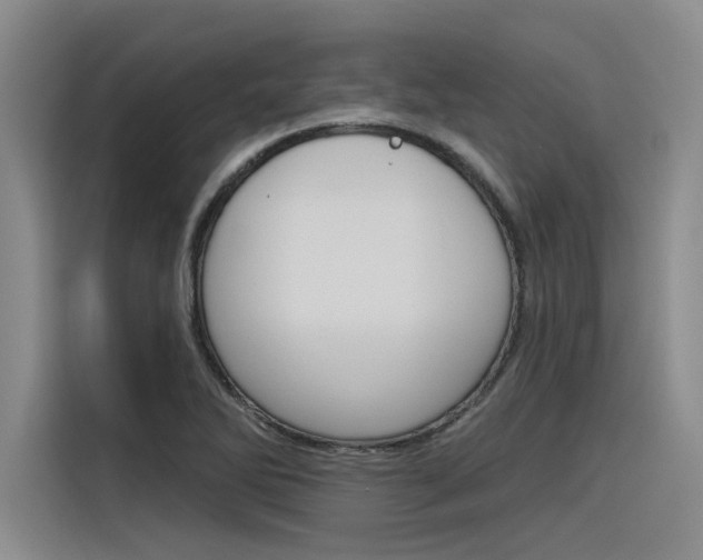 X0000116381270200912020938