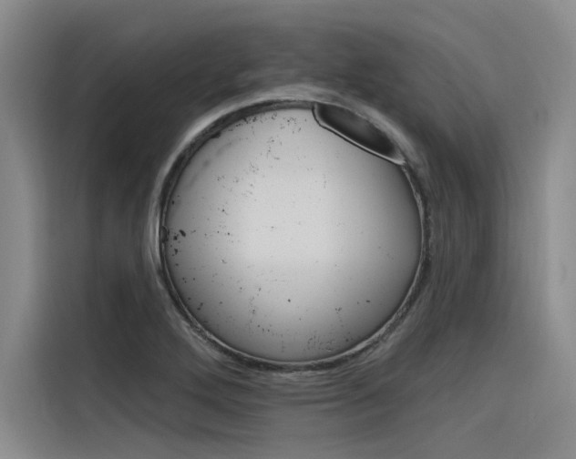 X0000116381272200912020938