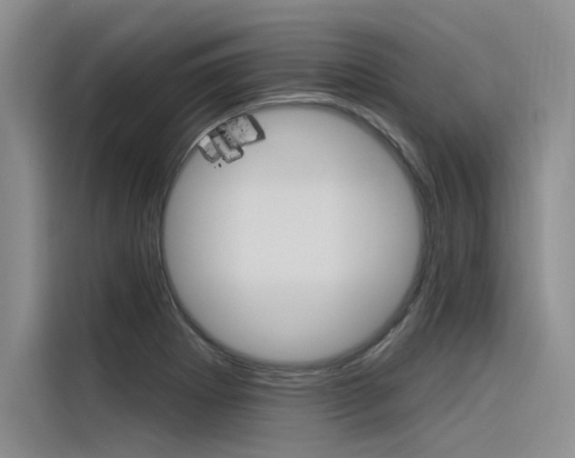 X0000116381273200912020938