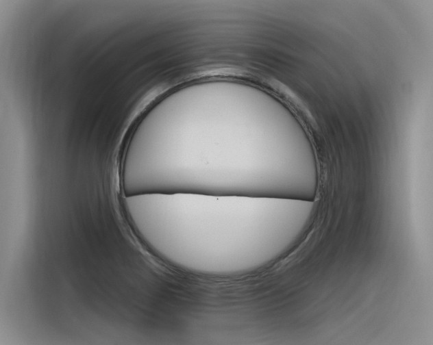 X0000116381274200912020938