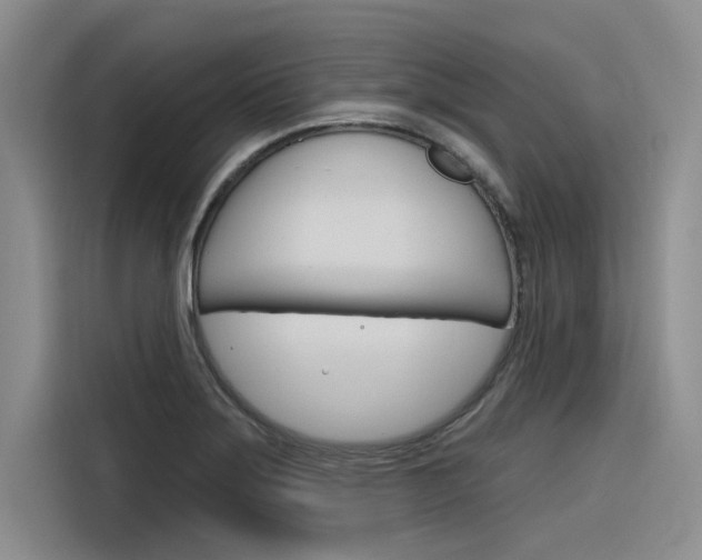 X0000116381275200912020938